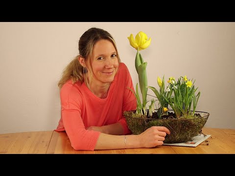 Explore with us! First up: Early bloomers