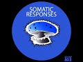 IST016 - Somatic Responses - S R  Communique With The Dead