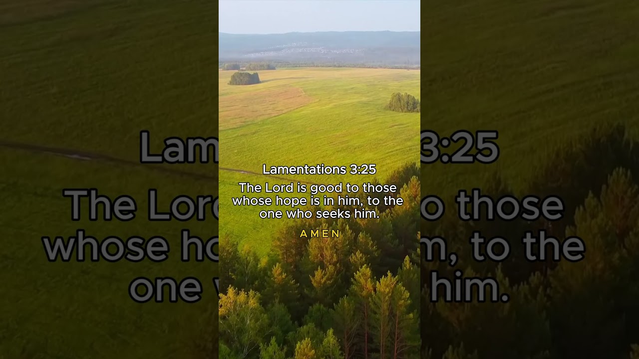 Lamentations 3:25 | Daily Bible Verse #bible