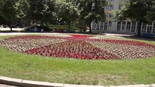 Община Димитровград обявяви конкурс за благоустрояване на междублокови пространства и градинки