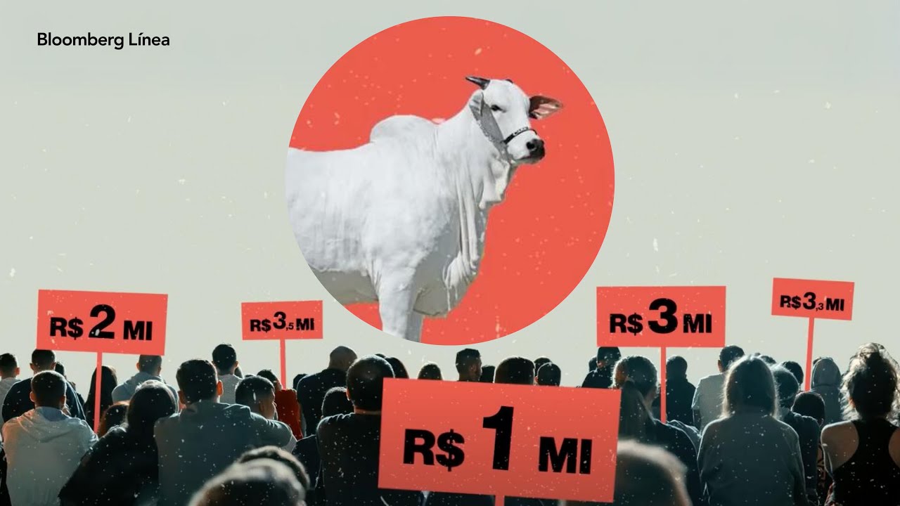 A Verdade Sobre a Carne do Brasil