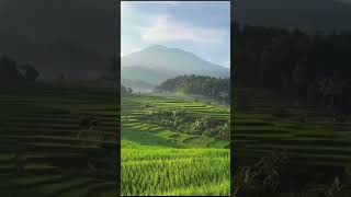 Download lagu biru langit biru laut biru hareupan urang #doelsumbang #music #gunung mp3