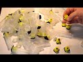 НАБОР ДЛЯ ВЫВОДА МАТОК ( МИСОЧКИ, БИГУДИ, ШПАТЕЛИ ) С Aliexpress / БДЖІЛЬНИЦТВО / ПЧЕЛОВОДСТВО
