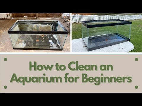 How To Clean a Used Aquarium For Beginners