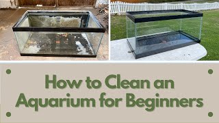 How To Clean a Used Aquarium For Beginners