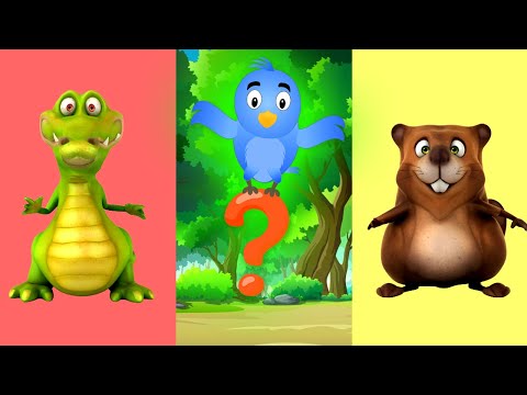 A cui e umbra? - Logica pentru copii mici | Copilasi Dragalasi