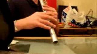 the sleeping tune (Low D Whistle)