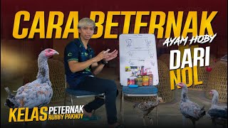 Download lagu CARA BERTERNAK AYAM BANGKOK DARI NOL BAGI PEMULA mp3