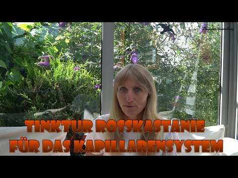 Tinktur Rosskastanie für das Kapillarensystem
