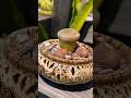 Is it a Plant or a Rock? #lithops #succulent