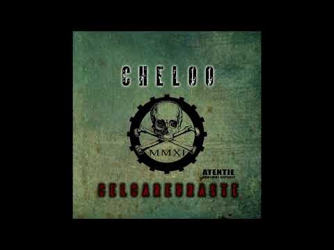 Cheloo feat Fritz - Periculos