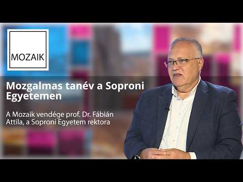 Mozaik – 2026.09.11. – Mozgalmas tanév a Soproni Egyetemen– vendég: Prof. dr. Fábián Attila