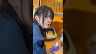 这谁能忍得住呀 #日常vlog #宠物店#猫猫