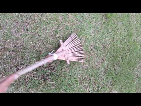 芝生のコケとの戦いに成功する トピックス