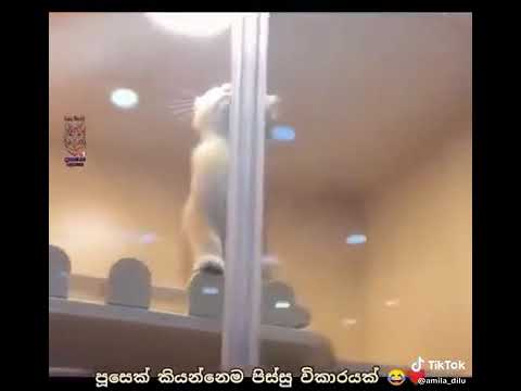 😎jagathlinuka😎