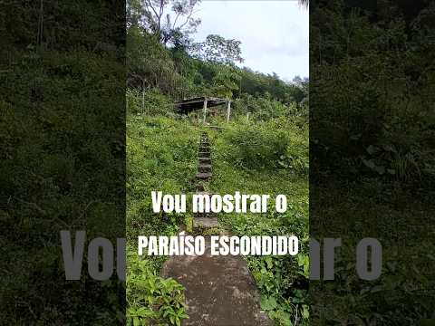 LINDA E INTOCÁVEL , FICA A 2 KM DA CIDADE DE MALHADOR SERGIPE #shorts #viral #video #aventura
