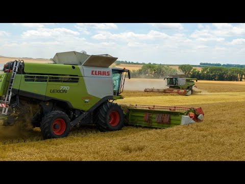 Žně 2019 - ječmen | Harvest 2019| 2x Claas lexion 770 |Služby Čechomor | Rostěnice a.s.