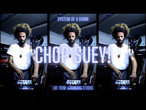 Youngr - Chop Suey! (System Of A Down) (Live From Llamaland Studios)