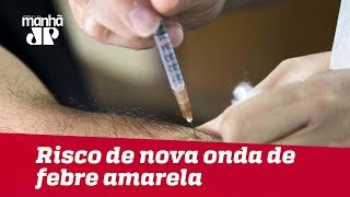 OMS vê risco de nova onda de febre amarela no Brasil