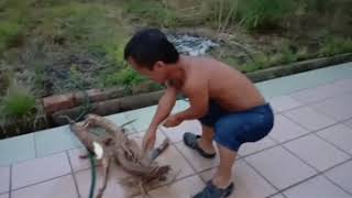 Download lagu Maia ba bekebun...ngulih ke batang jabang@empasa💪😎 mp3