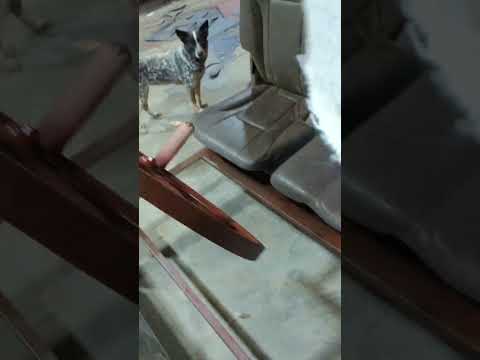 New flintstones car.#J.A.W custom cuts