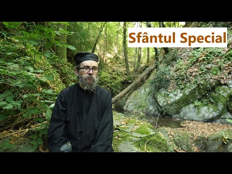 Sfântul Ioan Botezătorul: Sfântul Special - p. Teologos