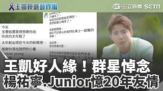 王凱姊姊低調現身！演藝圈好友曝未完"歌手夢"群星悼念 楊祐寧.Junior憶20年友情｜三立新聞網 SETN.com