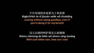 田馥甄 - 最暖的忧伤 // Hebe Tien - Miserable Warmth (full song), Lyrics + Pinyin + English translation