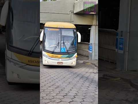 GONTIJO 18080 CHEGANDO EM BH! Linha Bertópolis x Belo Horizonte 🏁 #zezédicamargoeluciano #musica