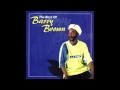 Barry Brown - Love Is The Answer