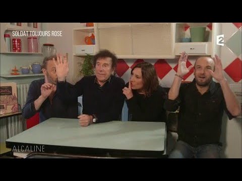 Alcaline, Le Sujet 21/11 - Soldat toujours rose