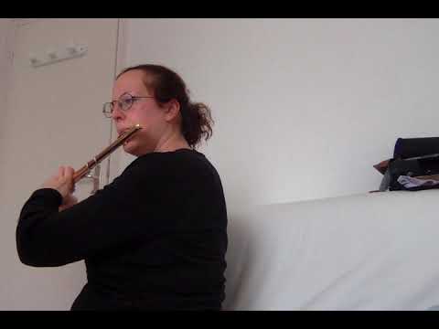 GARIBOLDI Etudes mignonnes n°18 RE M