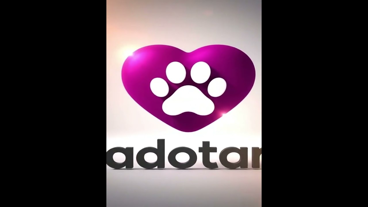 Cachorro raça SRD-ViraLata idade 2 a 6 meses nome Você escolhe 