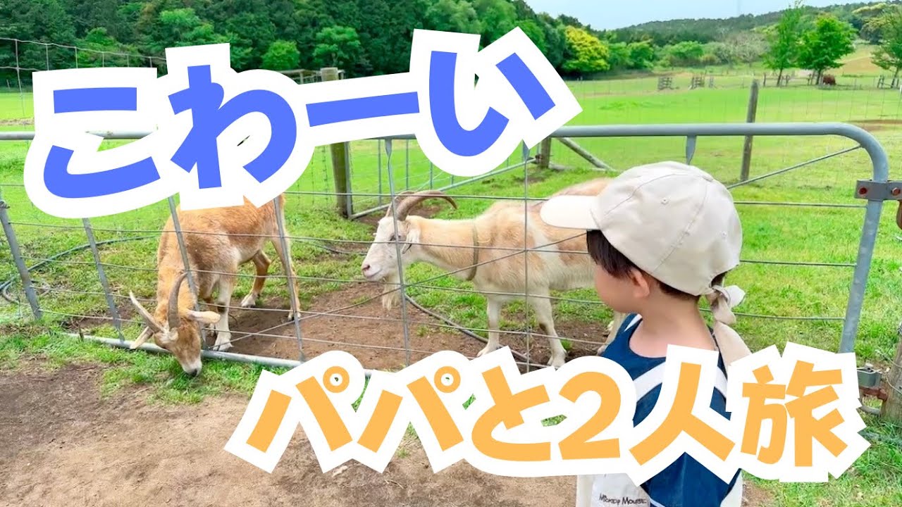 【怖がりすぎ…】大好きなママがいなくて、ちょっぴり切ない動物園デート