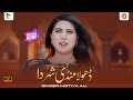 Dhola Mandi Shahar Da Motiya Ali New Saraiki Punjabi Song Latest Songs 2025