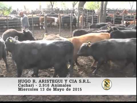 13-0515 Venta de Hembras - Hugo R. Aristegui y Cia S.R.L. - Cacharì