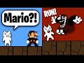 MX In Cat Mario Who Approved This