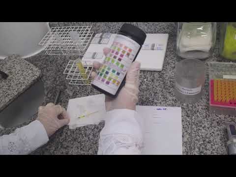 PARCIAL DE URINA (PU)