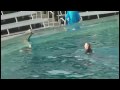 Sea World Shamu Kills Trainer VIDEO
