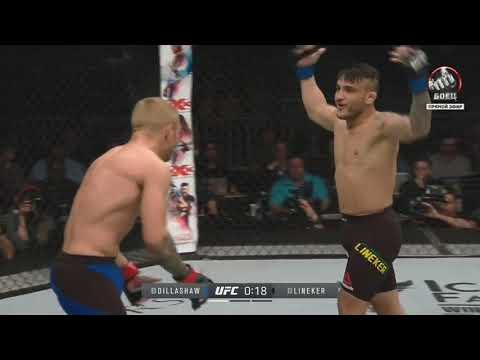 Dillashaw vs Lineker highlights