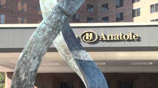 Introduction: The Hilton Anatole