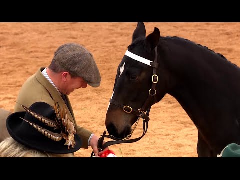Pencampwriaeth Ceffylau Chwaraeon | Sport Horse Championship