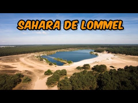 Sahara de lommel
