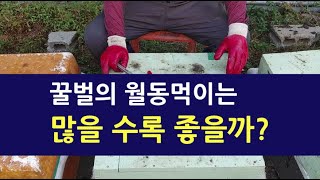 월동벌의 월동먹이는 많을 수록 좋을까?