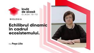 Echilibrul dinamic în cadrul ecosistemului