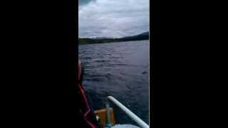 preview picture of video 'Loch Eigheach Sunsport Electric Outboard Trawling Motor 46lbs'