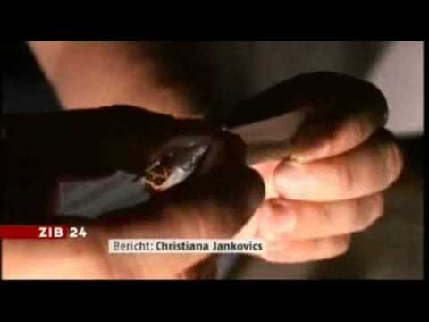 ZiB 24 - Beitrag über Spice