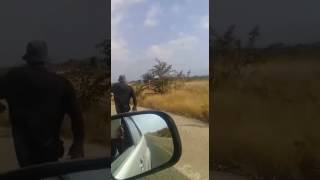 Download lagu Mr Patrick Mulaudzi. Mavambe to Vuwani mp3