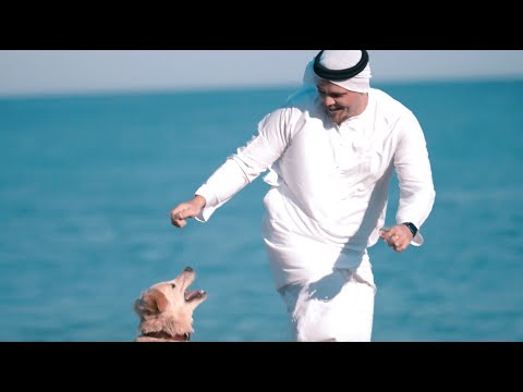 Sherman de Vries - Freedom ft. Tony T (Official 4k Video)