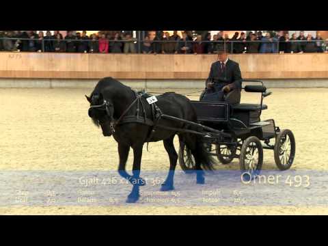 Omer 493 Centraal Onderzoek 2015